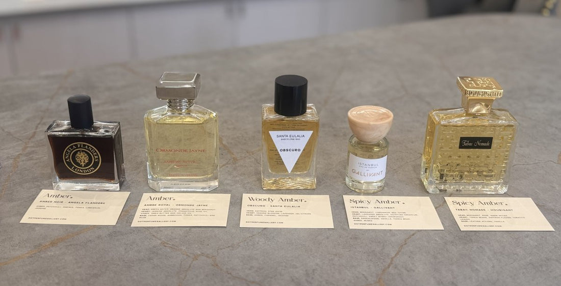 Amber Niche Perfumes: A Guide to the Scent Family