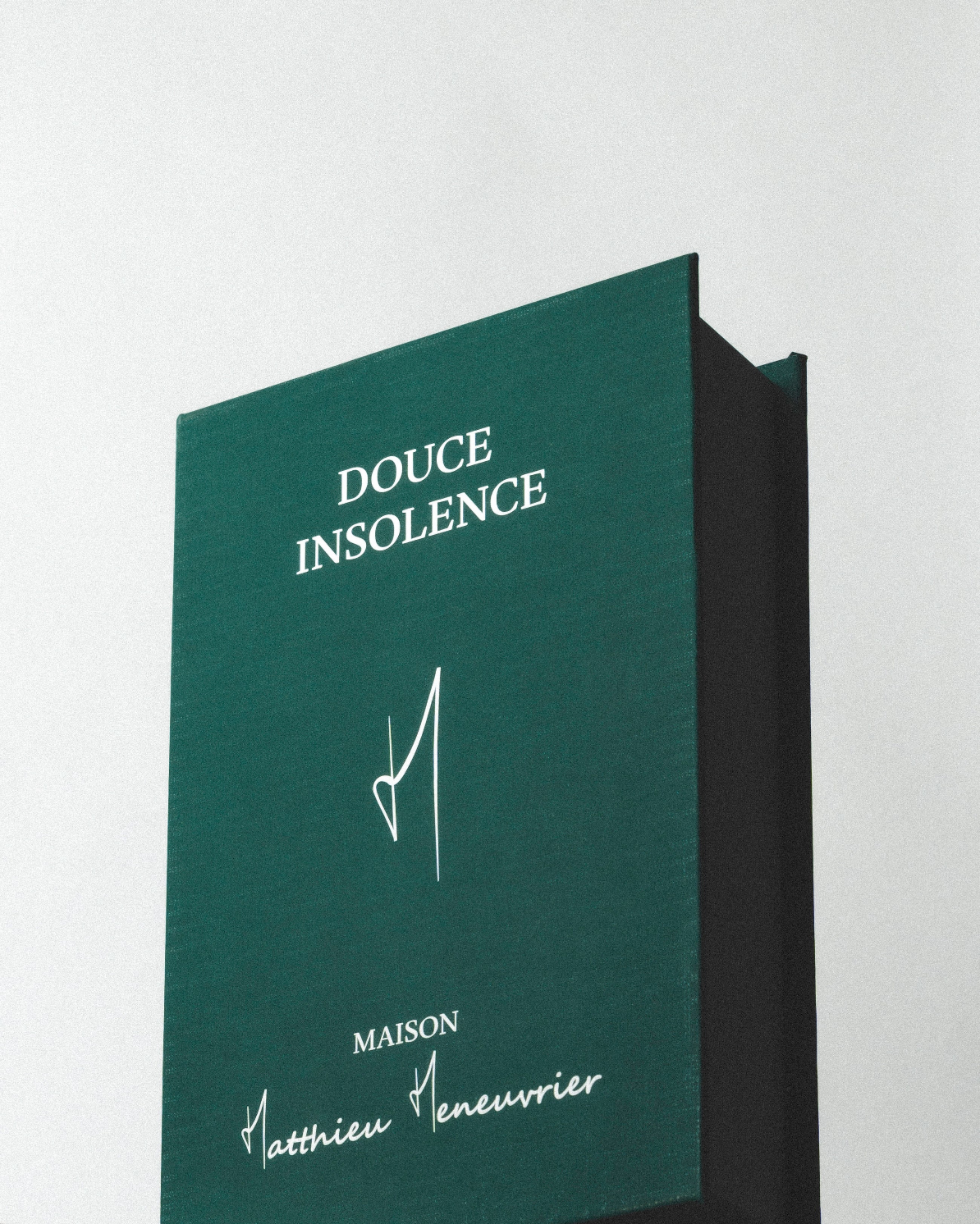 Douce Insolence | Matthieu Meneuvrier
