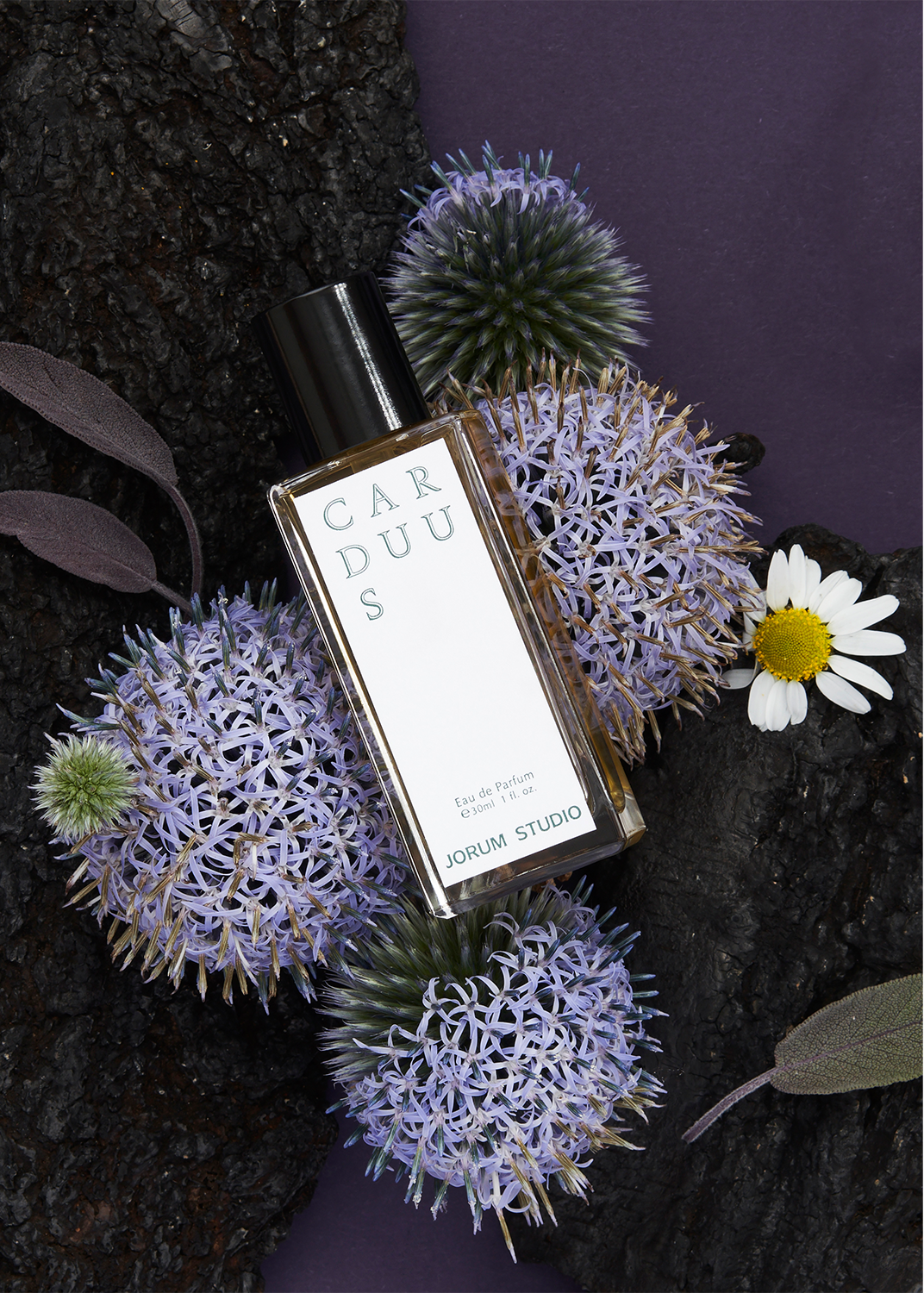 Carduus | Jorum Studio