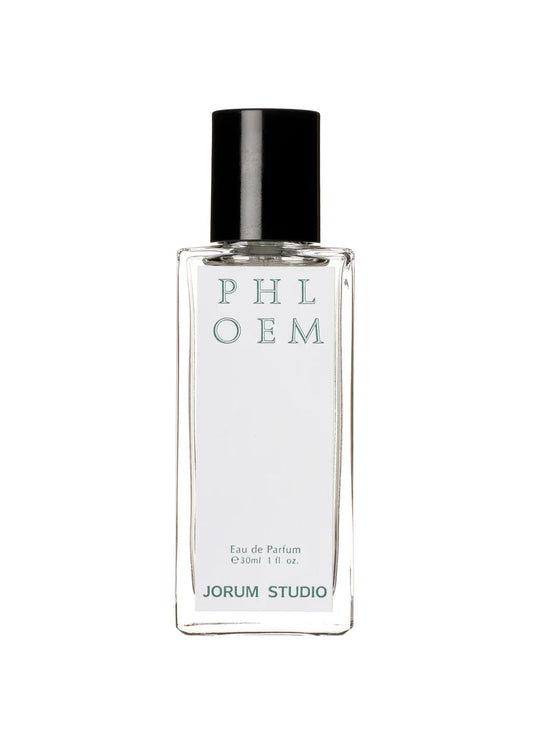 Phloem | Jorum Studio