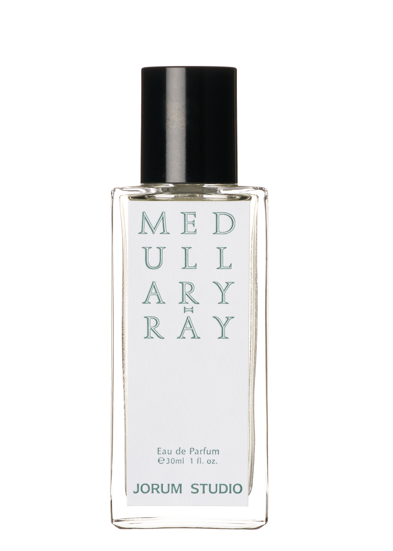 Medullary Ray | Jorum Studio